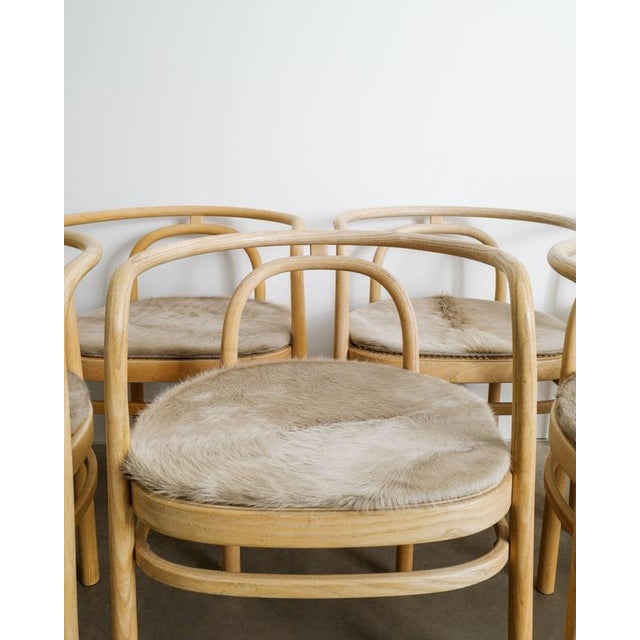 Danish Ash and Cane PK15 Dining Chairs by Poul Kjaerholm for PP Møbler, Denmark, 1990s For Sale - Image 3 of 10