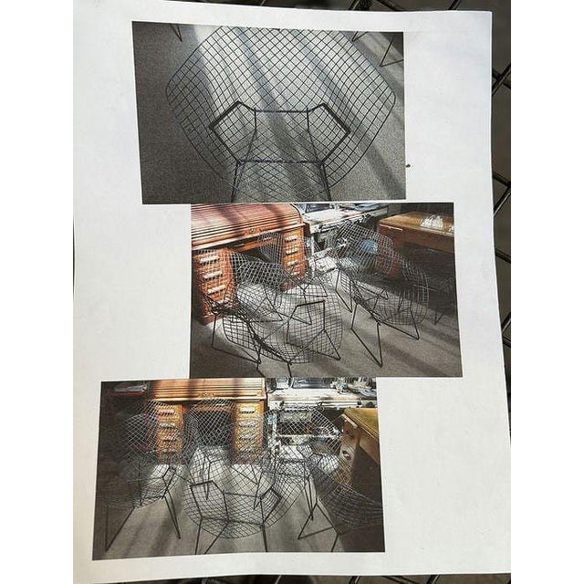 Metal Original Harry Bertoia "Diamond" Lounge Chairs for Knoll International For Sale - Image 7 of 17