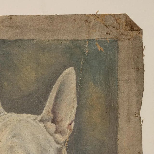 Frederick Thomas Daws, Antique English Bull Terrier, Oil on Canvas, 1920, Framed For Sale - Image 9 of 13