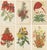 Exquisite Botanicals, 1885, Paper, Set of 6 For Sale