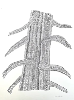 Abstract Tree Trunk Drawing