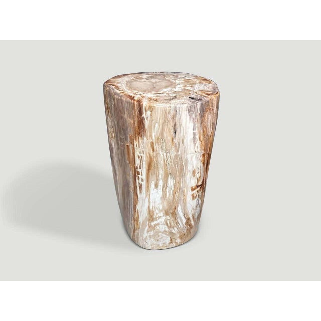 2010s Andrianna Shamaris Coral Toned High Quality Petrified Wood Side Table For Sale - Image 5 of 6