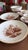 Rare Antique English Bone China Bat Printed Tea Service, by Ridgway, Pattern 1684/2, Circa 1830s - 22 pcs For Sale - Image 17 of 18