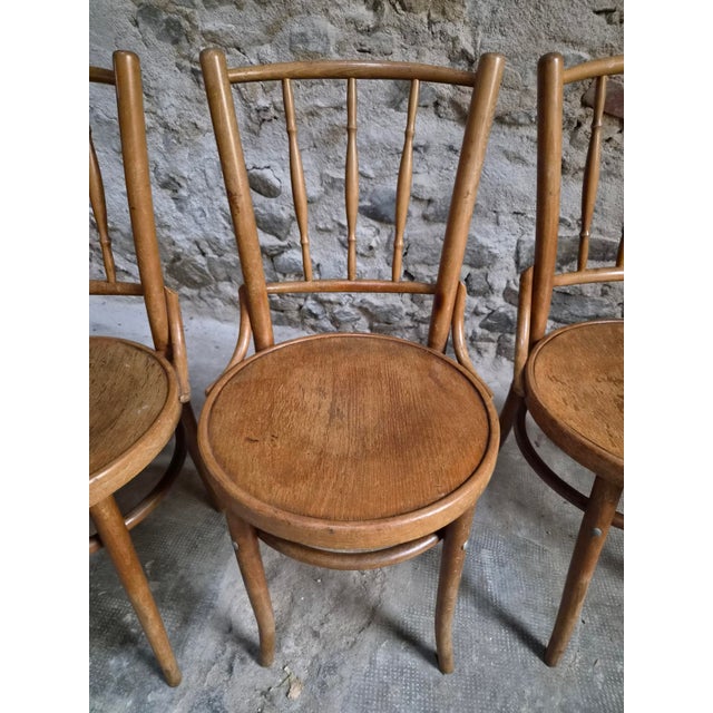 Vintage Bentwood Bistro Chairs from Fischel, Czechoslovakia, 1940s, Set of 4 For Sale - Image 16 of 18