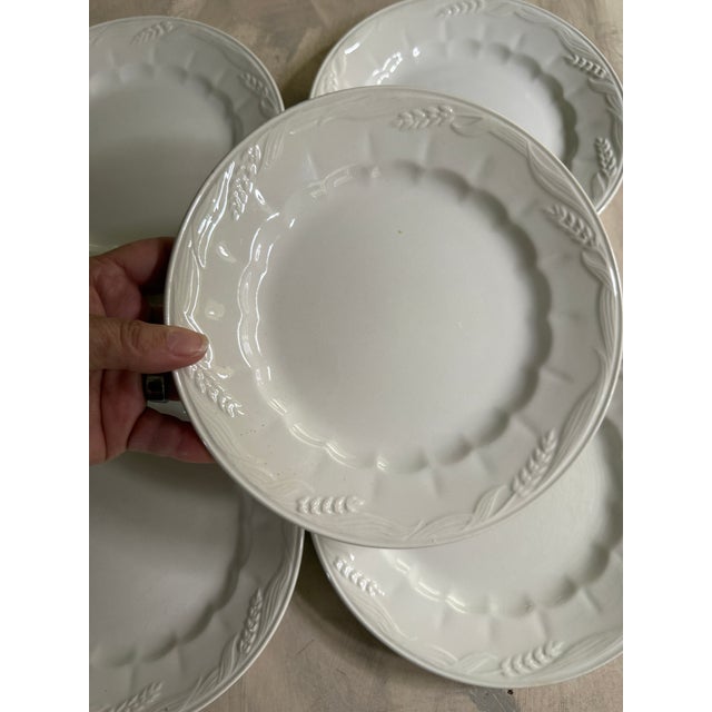 These elegant white ironstone plates were made in England by Royal Crownford of Hanley and feature the Wheat pattern, a...