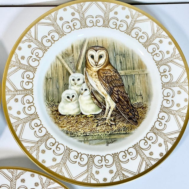 1980 Vintage Arts & Crafts English Bone China Owl Dinner Plates -Set of 8. For Sale - Image 16 of 18