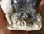 Vintage Bighorn Sheep Carving in Zebra Jasper For Sale - Image 10 of 13