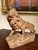 Italian Artist, Large Lion, 19th Century, Wood For Sale - Image 15 of 17
