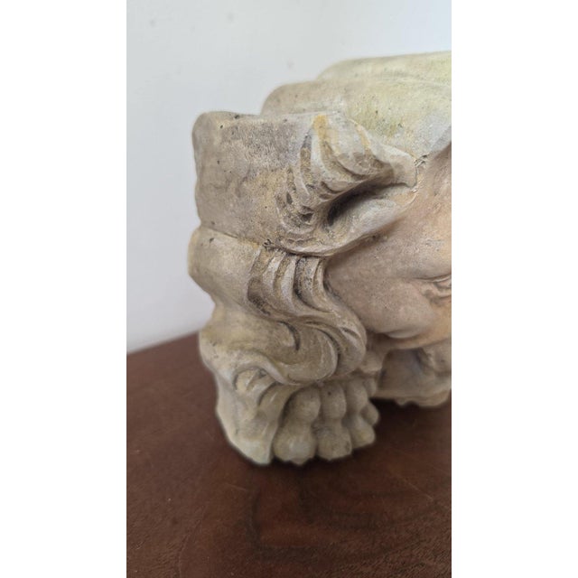 1700s French Gothic Stone Gargoyle Lion Head, Antique Church Architectural Fragment, Medieval Grotesque Sculpture Wall Decor For Sale - Image 6 of 10