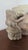 1700s French Gothic Stone Gargoyle Lion Head, Antique Church Architectural Fragment, Medieval Grotesque Sculpture Wall Decor For Sale - Image 6 of 10