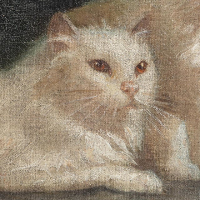 Wood Portrait of a Pair of White Cats, Antique Original Oil Painting, Attributed to Arthur Heyer, Late 19th/Early 20th C. For Sale - Image 7 of 11