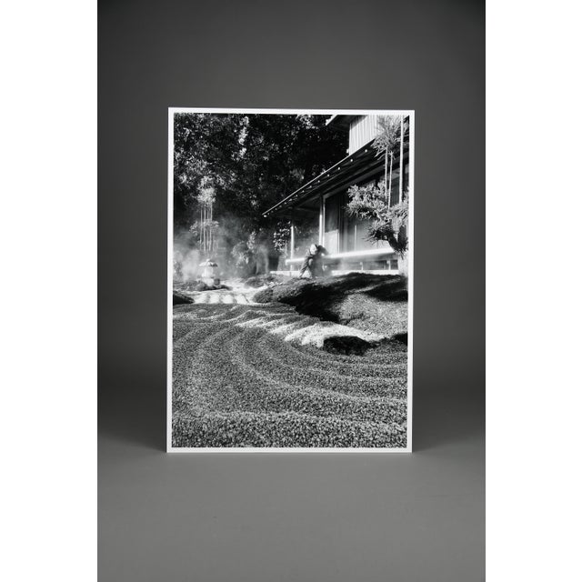 Black Taco, Monochrome Hase-Dera Temple, Kamakura, Kanagawa, 2024, Archival Pigment Print For Sale - Image 8 of 10