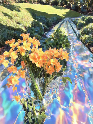 Ian Jones, Rainbow River Road, Archival Pigment Print