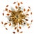 Gold-Plated Ceiling Lamp by Banci Firenze, Italy, 1960s For Sale