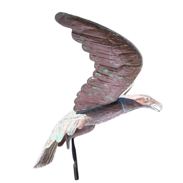 Eagles like this don’t wait around. One-of-a-kind surface, century-old soul, and the kind of presence that commands a...