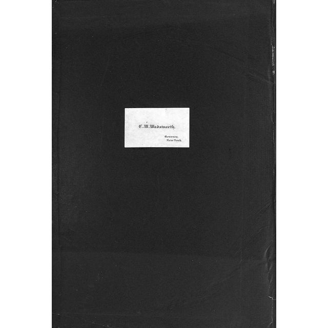 Traditional "Points of the Horse" 1897 Hayes, Capt M. Horace For Sale - Image 3 of 9