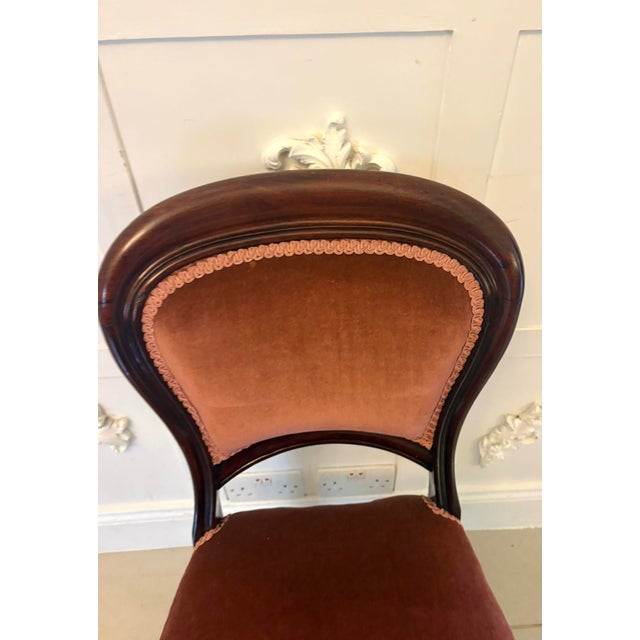 Antique Victorian Mahogany Dining Chairs with Tulip Legs, 1860, Set of 6 For Sale - Image 6 of 13