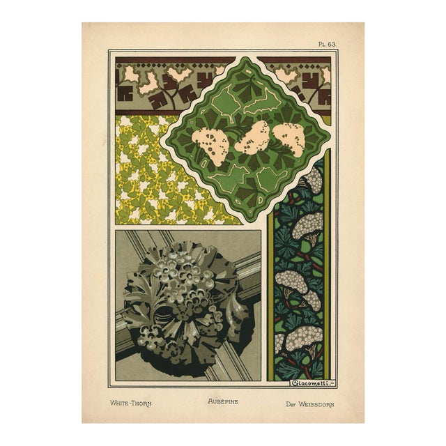 "Aubepine, Pl. 63" Art Nouveau Pochoir by A. Giacometti For Sale