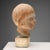 Portrait of a Boy in Terracotta from Mario Bertozzi For Sale - Image 6 of 12