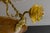French Neoclassical Style Amber Alabaster and Frosted Glass Chandelier, 1920 For Sale - Image 12 of 18