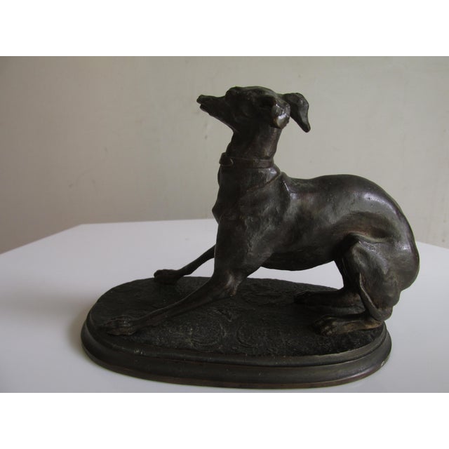 French Antique French Bronze Depicting a Standing Whippet For Sale - Image 3 of 11