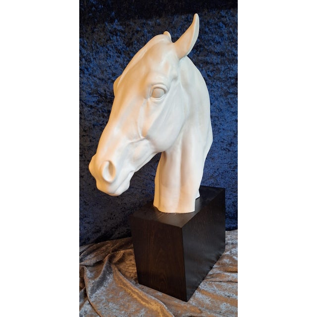 Horse Head Sculpture in White Bisque Porcelain on Black Base by Albert Hinrich Hussmann for Rosenthal, 1970s For Sale - Image 3 of 7