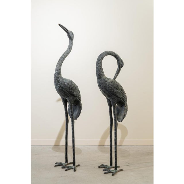 Unknown, Large Herons, 1950s, Bronze, Set of 2 For Sale - Image 10 of 10