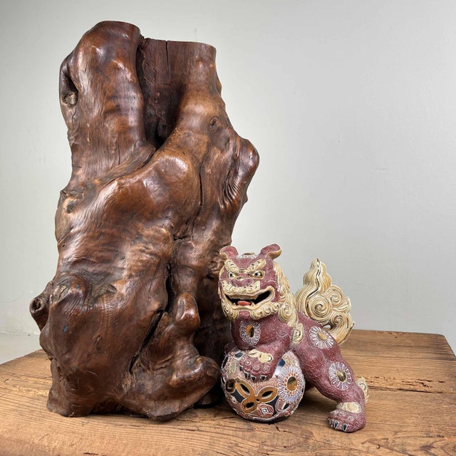 Japanese Decorative Burl Wood Tsuge, 1920s For Sale - Image 9 of 18