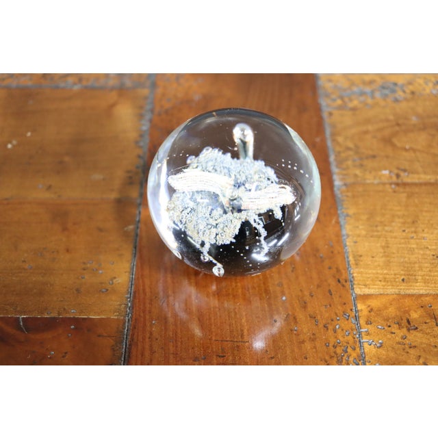 Black Apple Art Glass Paper Weight For Sale In Philadelphia - Image 6 of 9