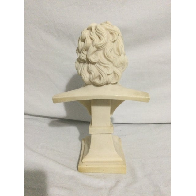 1950s Ludwig Van Beethoven Plaster Bust For Sale In Orlando - Image 6 of 9