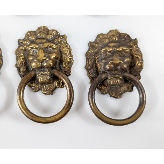Early 20th Century Set of 8 Lion Head Form Drawer Handle Pulls For Sale - Image 4 of 13