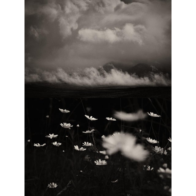 Jaume Llorens Bach, Gaia Diptych #81, Monochrome Photographic Print For Sale