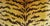 English Italian Scalamandre Le Tigre Tiger Velvet Feather/Down Pillow For Sale - Image 3 of 4