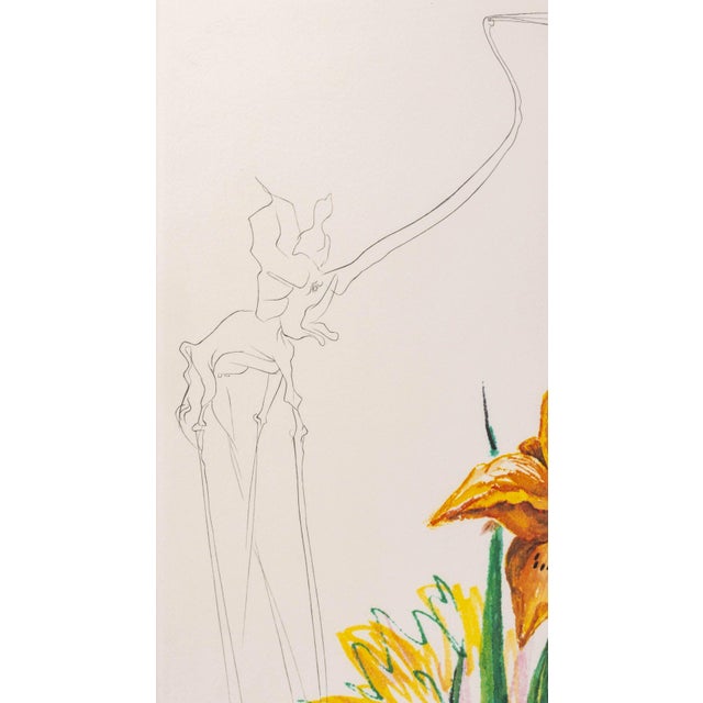 Green Salvador Dali "Daylily (Elephant)" Etching, 1972 For Sale - Image 8 of 13