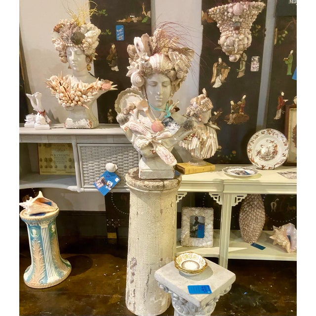 Shell Bust, “May River Venus” by Artist Fancy, May River Neptune, Signed For Sale In Savannah - Image 6 of 12
