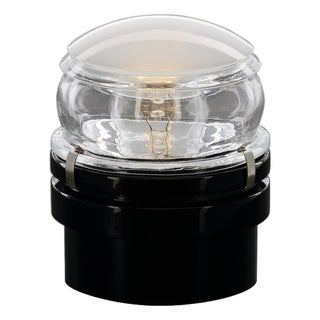 Black Fresnel Inside and Outside Wall and Ceiling Lamp by Joe Colombo for Oluce For Sale