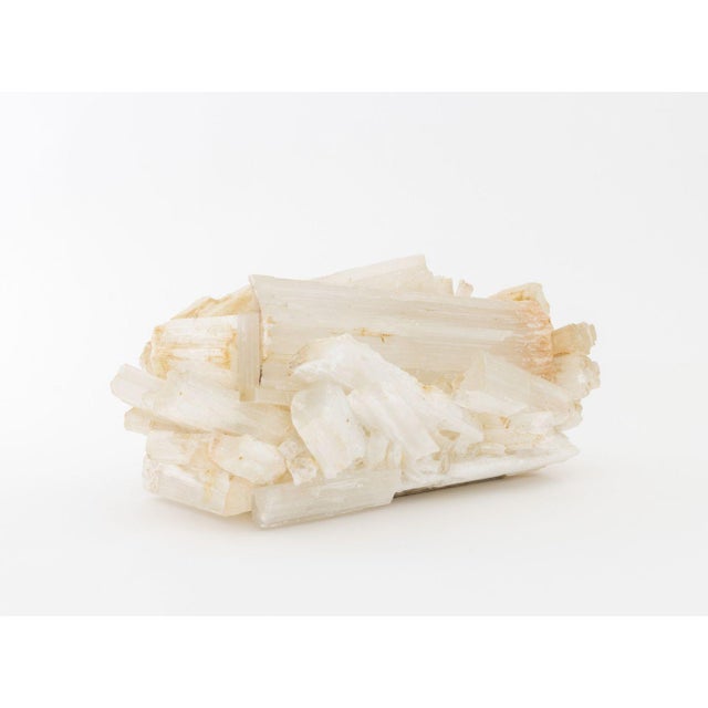 Selenite Crystal Jardiniere For Sale - Image 11 of 11