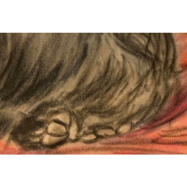 Glass Original Pastel Portrait of Scottish Terrier Dog by Gladys Emerson Cook, C 1950 For Sale - Image 7 of 11