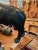 Wood 1940s Americana Folk Art Hand-Carved Wood Bear Statue For Sale - Image 7 of 7