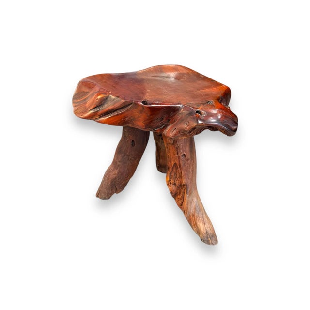 Burl Wood Side Table For Sale - Image 4 of 6