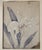 Vintage Wood Framed Painting with White Orchid Motif, by Tip Freeman This painting by American artist Tip Freeman depicts...