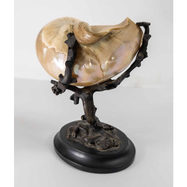 We are selling this great little Kunstkammer type bronze piece. This bronze has well modeled vine and branch base with...