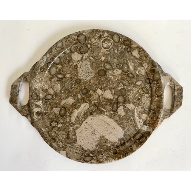 Stone Mid 20th Century Natural Fossilized Stone Serving Display Tray For Sale - Image 7 of 7