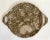 Stone Mid 20th Century Natural Fossilized Stone Serving Display Tray For Sale - Image 7 of 7