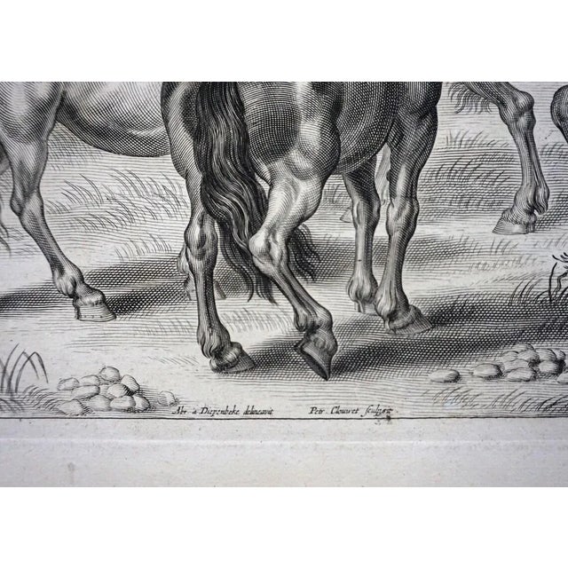 Paper 18th Century Equestrian Horsemanship Engravings Framed - A Pair For Sale - Image 7 of 10