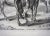 Paper 18th Century Equestrian Horsemanship Engravings Framed - A Pair For Sale - Image 7 of 10