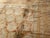 French Distressed Savonnerie Carpet, 1890s-1910s For Sale - Image 13 of 18