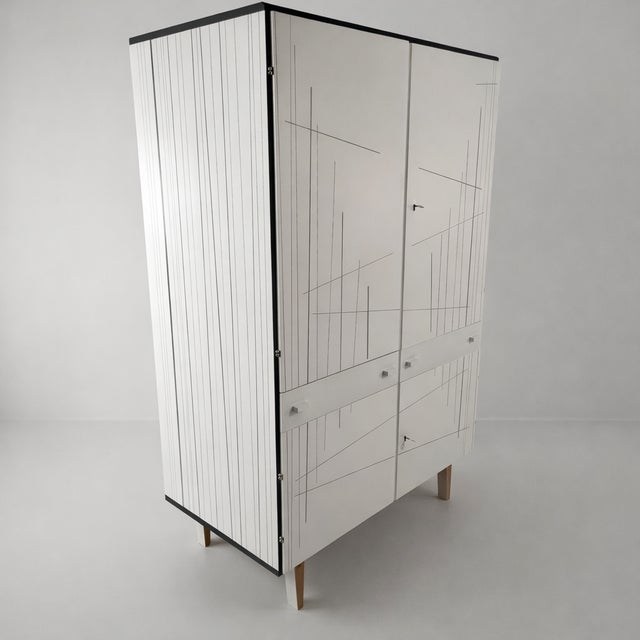 1970s Vintage Wardrobe in Ash by Francisek Mezulanik, 1970s For Sale - Image 5 of 16