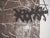 Antoni Tapies, Monotypes, Lithograph For Sale - Image 4 of 8