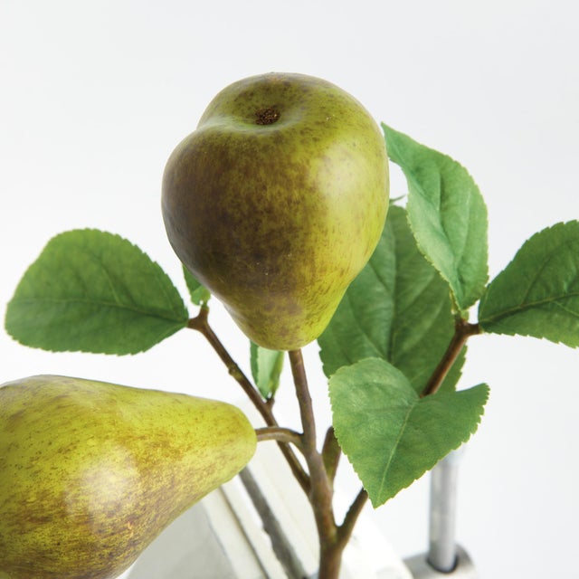 Early 21st Century Pear Picks 9.5" St/4 For Sale - Image 5 of 7